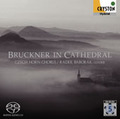 「ブルックナー・イン・カテドラル―天上の音楽―」詳細情報